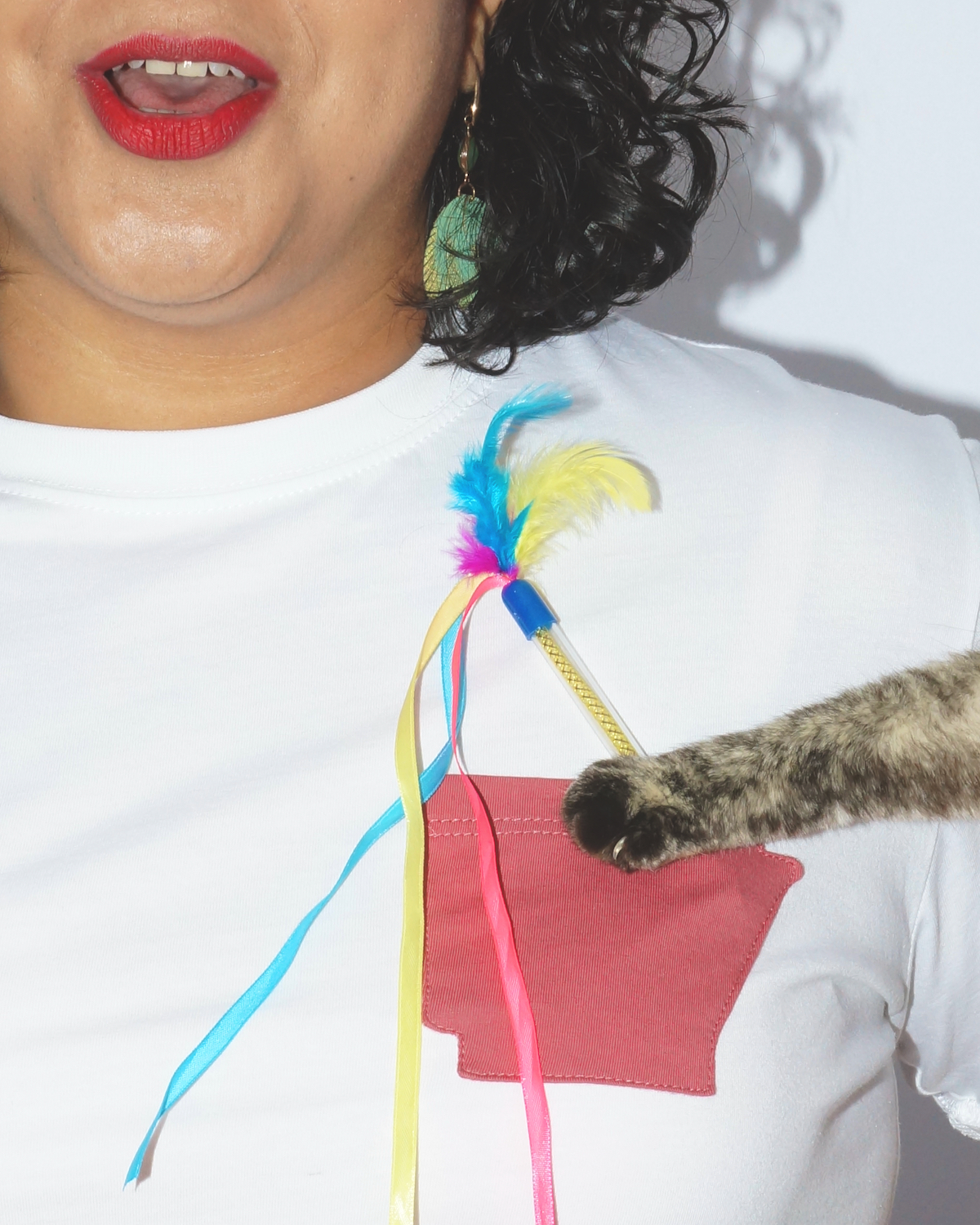 Arkansas Pocket Tee - Image 8